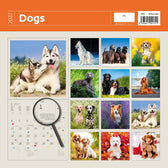 Kalender 2026 30x30cm honden - afbeelding 5