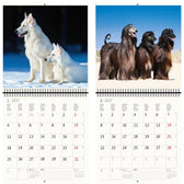 Kalender 2026 30x30cm honden - afbeelding 6