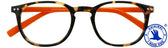 Leesbril I Need You +1.00dpt Jr Selection bruin-or
