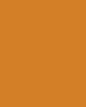 Etalagekarton Folia 1z 48x68cm 380gr nr915 or
