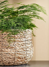 Plantenmand Mica Avalon zeegras rond l.bruin - afbeelding 4