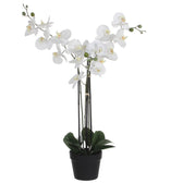 Kunstplant Mica Phalaenopsis orchidee wit
