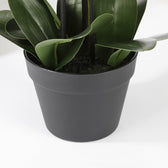Kunstplant Mica Phalaenopsis orchidee wit - afbeelding 3