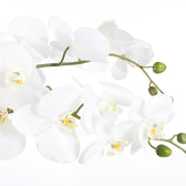 Kunstplant Mica Phalaenopsis orchidee wit - afbeelding 4