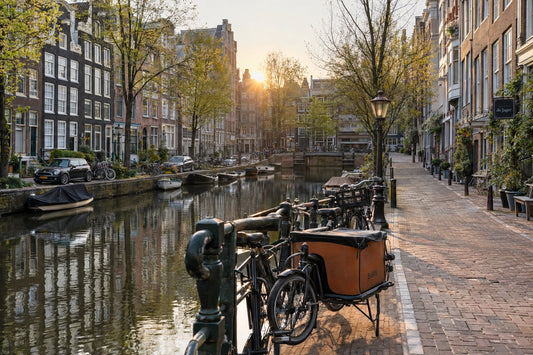 Karton in Amsterdam