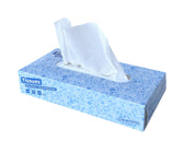 Facial tissues Cleaninq 2laags 100stuks
