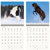 Kalender 2026 30x30cm paarden - afbeelding 6
