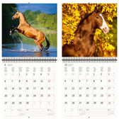 Kalender 2026 30x30cm paarden - afbeelding 7