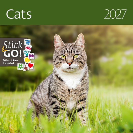 Kalender 2026 30x30cm katten