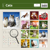 Kalender 2026 30x30cm katten - afbeelding 5