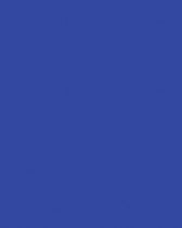 Etalagekarton Folia 1z 48x68cm 380gr nr320 blauw