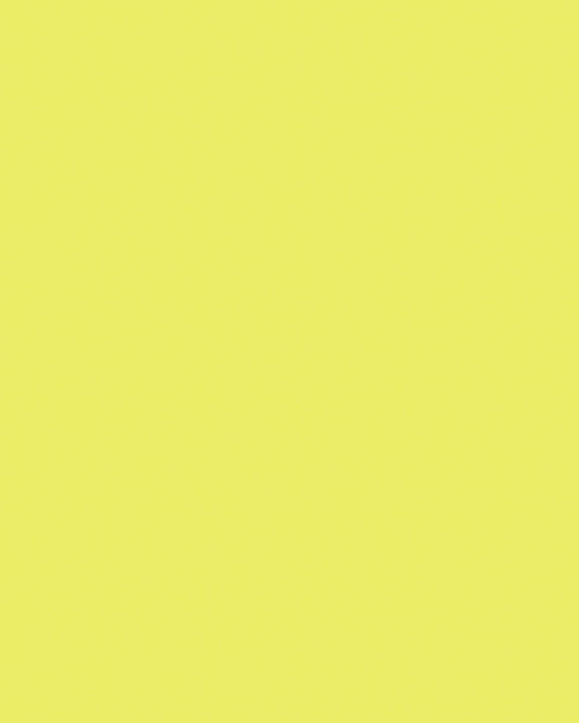 Etalagekarton Folia 1z 48x68cm 380gr nr911 fl gl