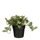 Kunstplant Mica Tradescantia in pot 16x16cm