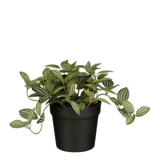 Kunstplant Mica Tradescantia in pot 16x16cm