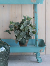 Kunstplant Mica Pilea in pot 35x25cm - afbeelding 2