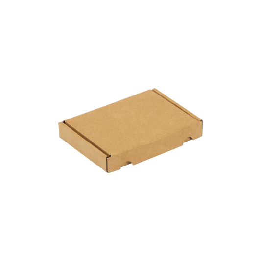 A6 brievenbusdoos 160 x 120 x 25 mm - met klep