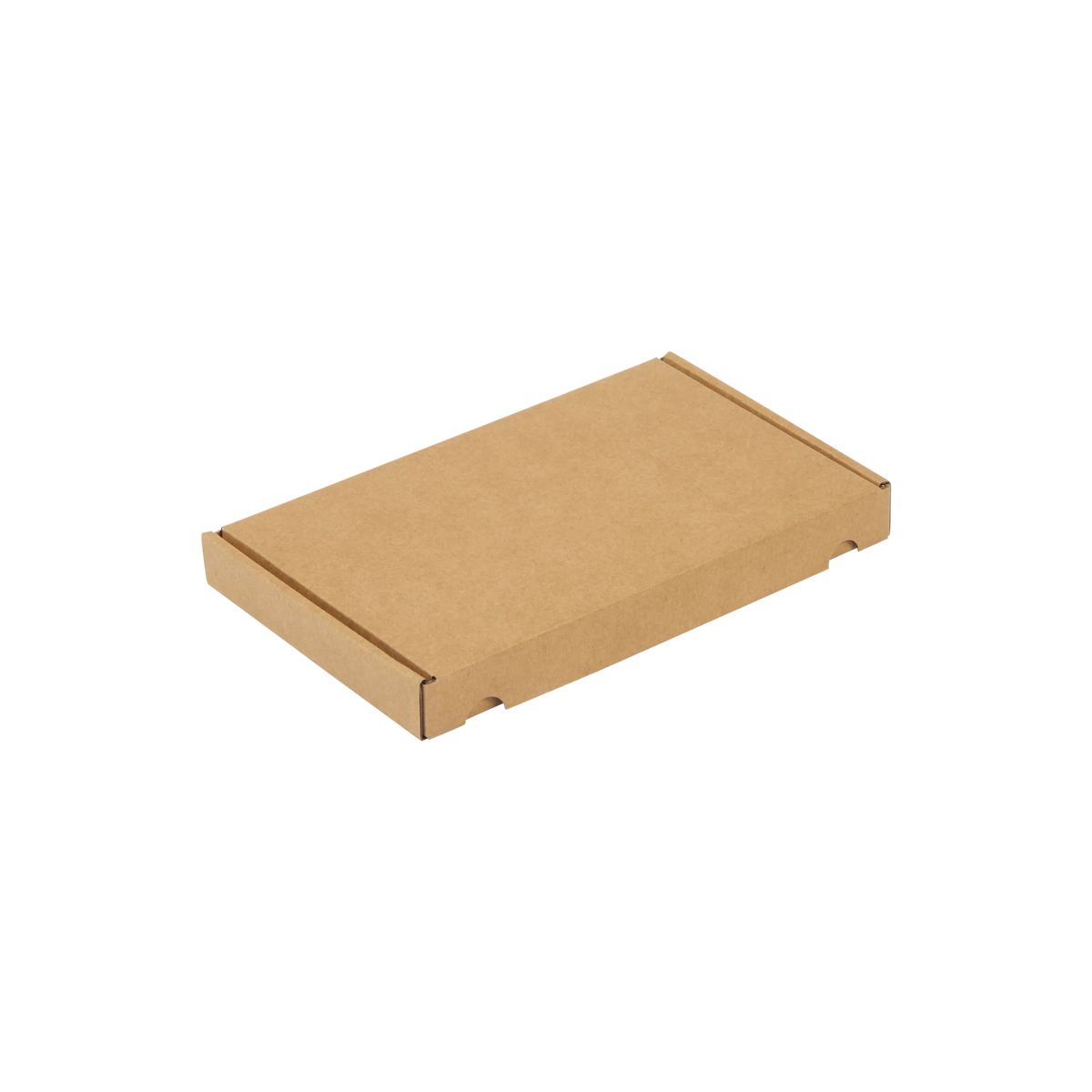 A5 brievenbusdoos 255 x 160 x 28 mm - met klep