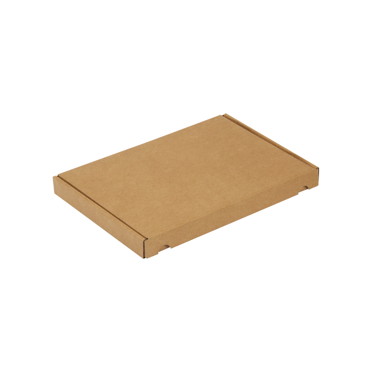 A4 brievenbusdoos 300x213x28 mm met klep