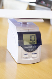 Briefweger Raadhuis digitaal wit - afbeelding 3