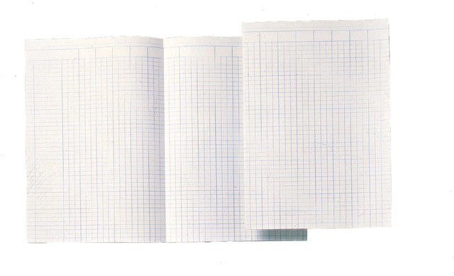 Accountantspapier Djois Atl folio 14 kolom