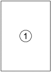 Etiket Avery DP001 210x297 wit 100stuks
