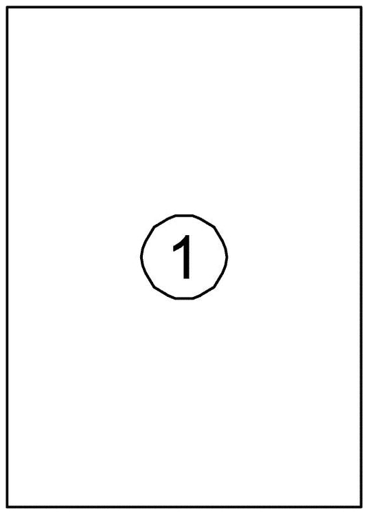 Etiket Avery DP001 210x297 wit 100stuks