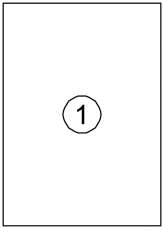 Etiket Avery DP001 210x297 wit 100stuks
