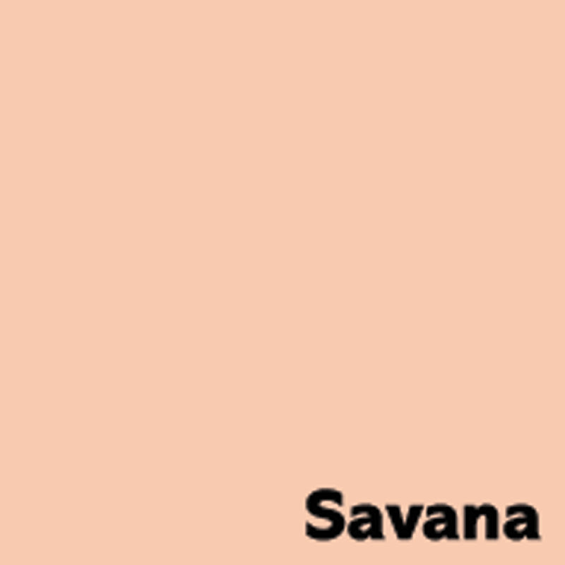 Kantoorpapier Image Coloraction zalm 160 g/m² A4 (250 vellen)